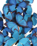 CURREY & COMPANY RUE DE BAC BLUE BUTTERFLIES - Decorative Accents