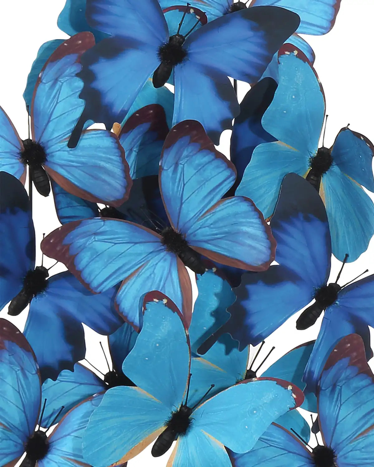 CURREY & COMPANY RUE DE BAC BLUE BUTTERFLIES - Decorative Accents