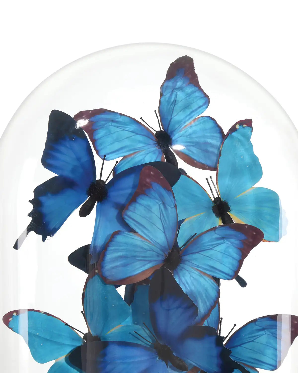 CURREY & COMPANY RUE DE BAC BLUE BUTTERFLIES - Decorative Accents