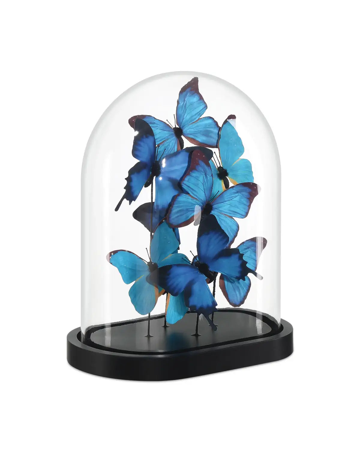 CURREY & COMPANY RUE DE BAC BLUE BUTTERFLIES - Decorative Accents