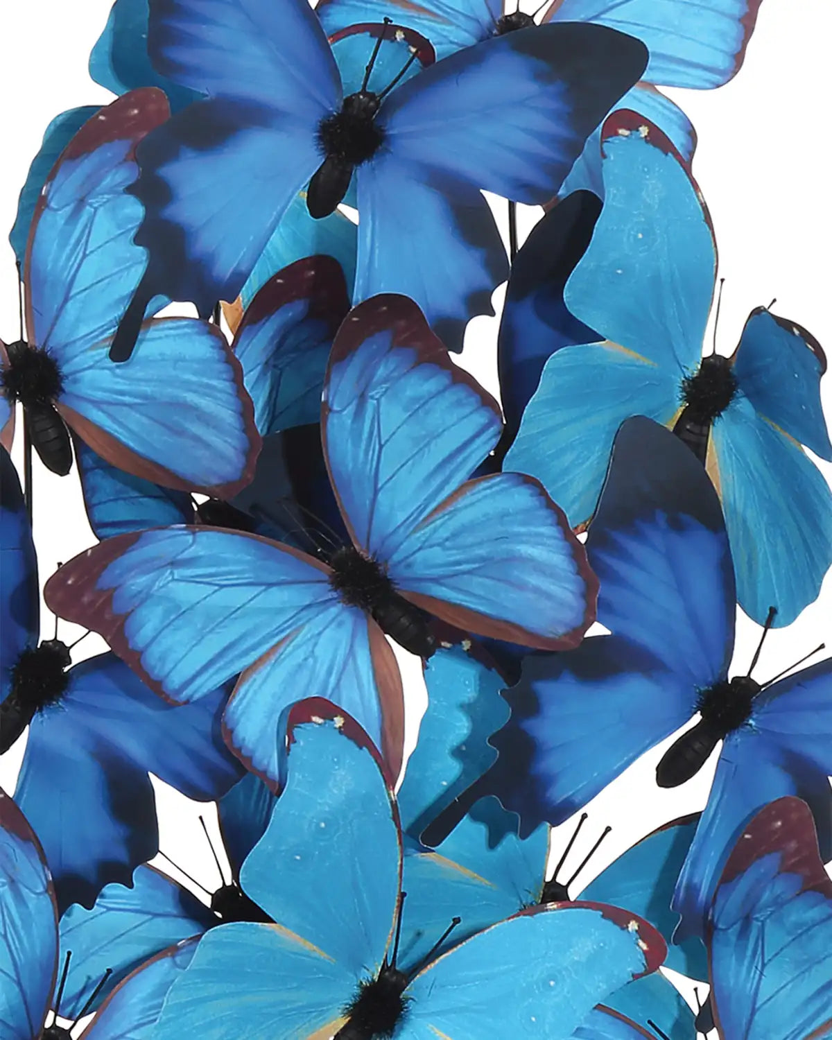 CURREY & COMPANY RUE DE BAC BLUE BUTTERFLIES - Decorative Accents