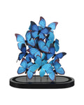 CURREY & COMPANY RUE DE BAC BLUE BUTTERFLIES - Decorative Accents