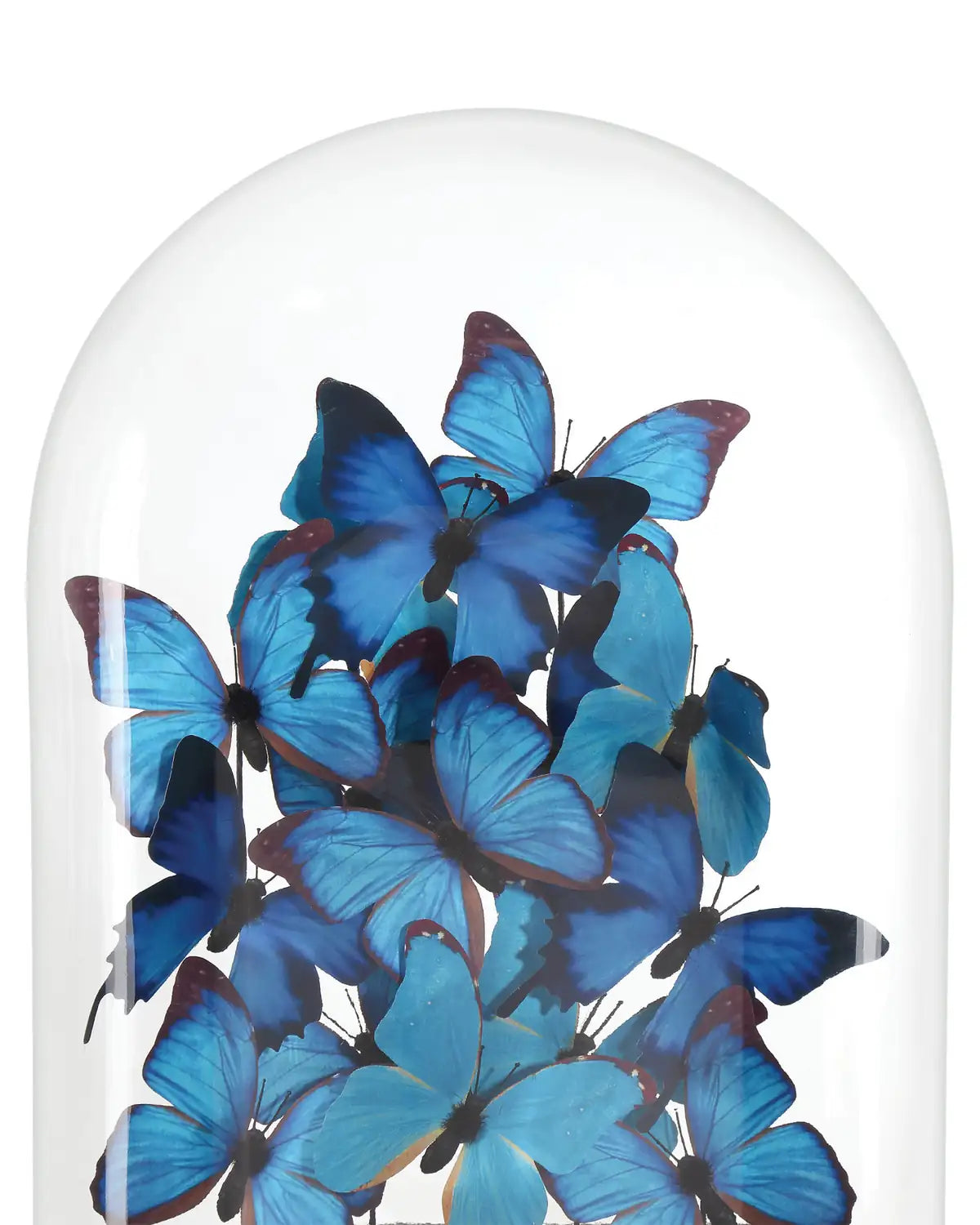CURREY & COMPANY RUE DE BAC BLUE BUTTERFLIES - Decorative Accents