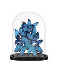 CURREY & COMPANY RUE DE BAC BLUE BUTTERFLIES - Decorative Accents