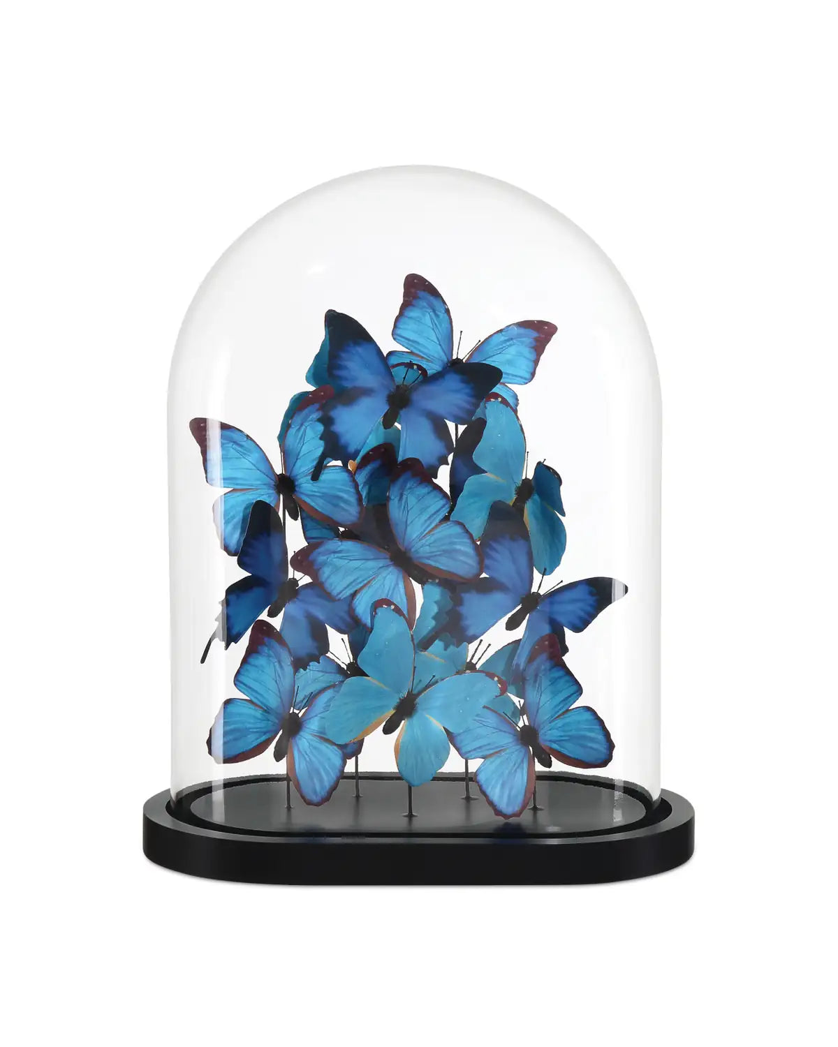 CURREY & COMPANY RUE DE BAC BLUE BUTTERFLIES - Decorative Accents