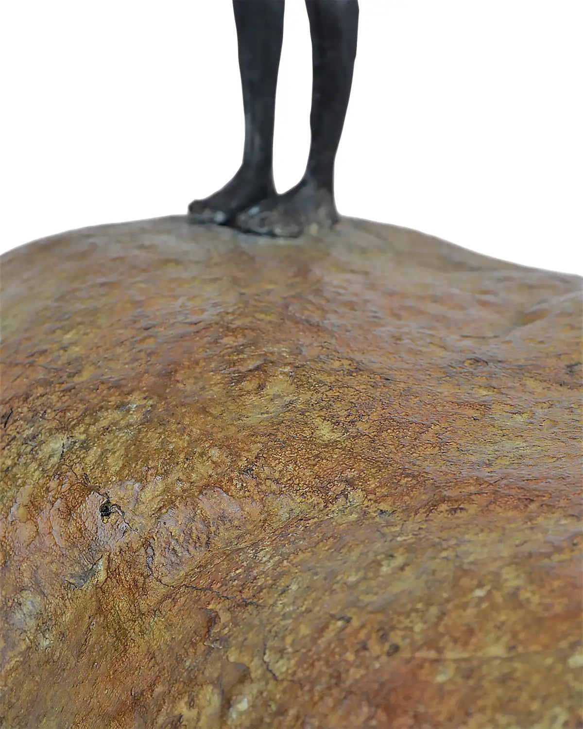 CURREY & COMPANY MAN ON ROCK - Decorative Accents