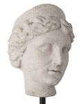 CURREY & COMPANY VENUS HEAD ON STAND SET OF 2 - Decorative Accents