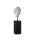 CURREY & COMPANY VENUS HEAD ON STAND SET OF 2 - Decorative Accents