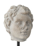 CURREY & COMPANY VENUS HEAD ON STAND SET OF 2 - Decorative Accents