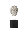 CURREY & COMPANY VENUS HEAD ON STAND SET OF 2 - Decorative Accents