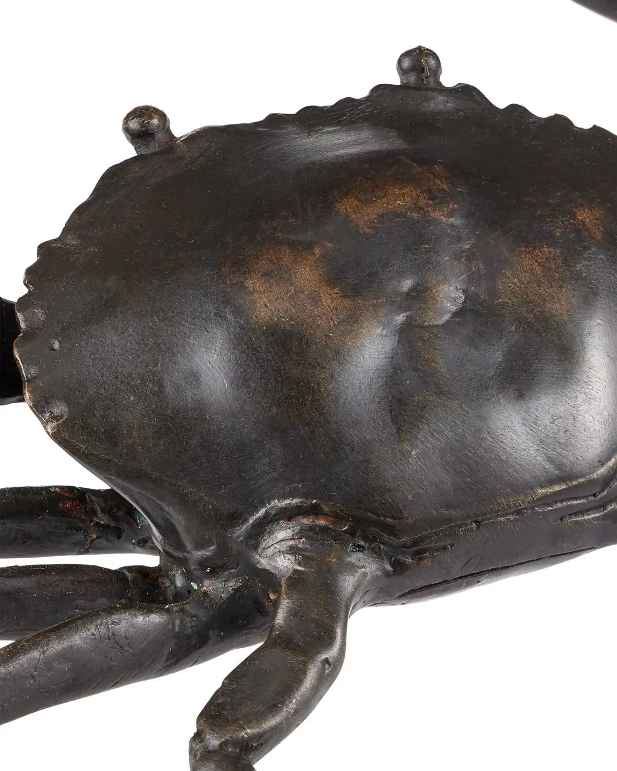 CURREY & COMPANY CRAB - Decorative Accents
