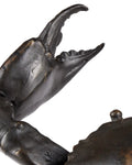 CURREY & COMPANY CRAB - Decorative Accents