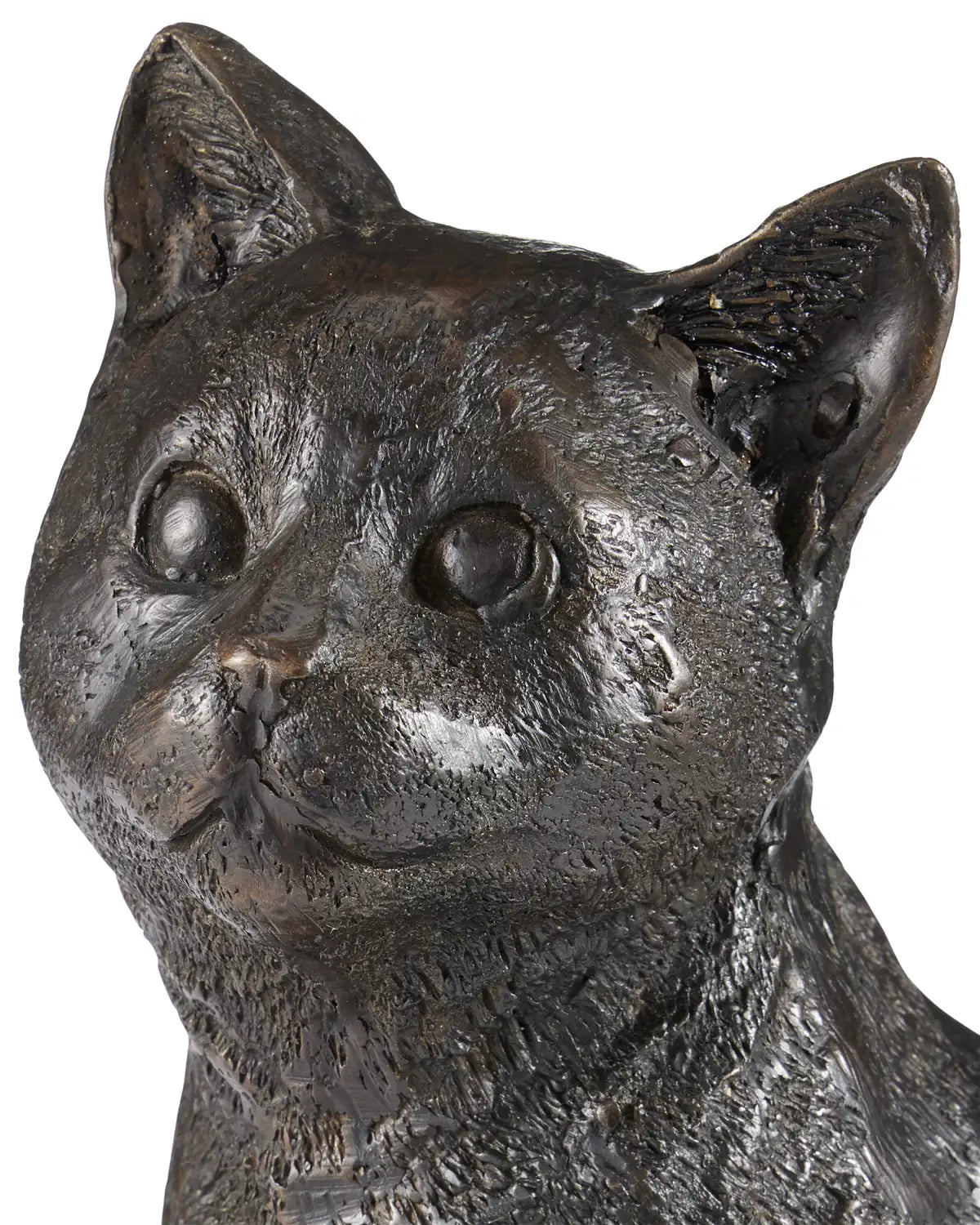 CURREY & COMPANY GATTO - Decorative Accents