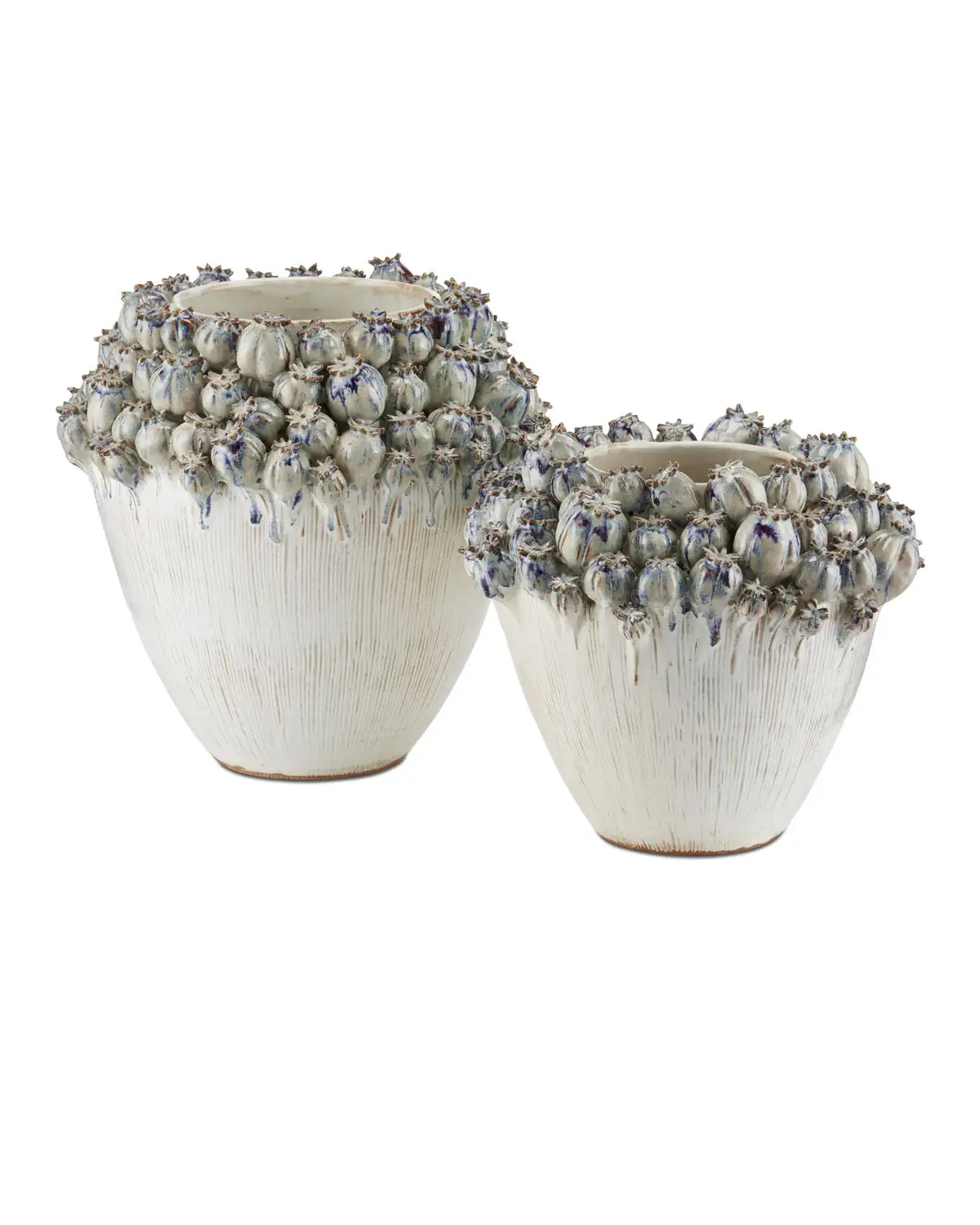 CURREY & COMPANY POPPY POD CROWN VASE - Decorative Accents