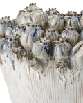 CURREY & COMPANY POPPY POD CROWN VASE - Decorative Accents