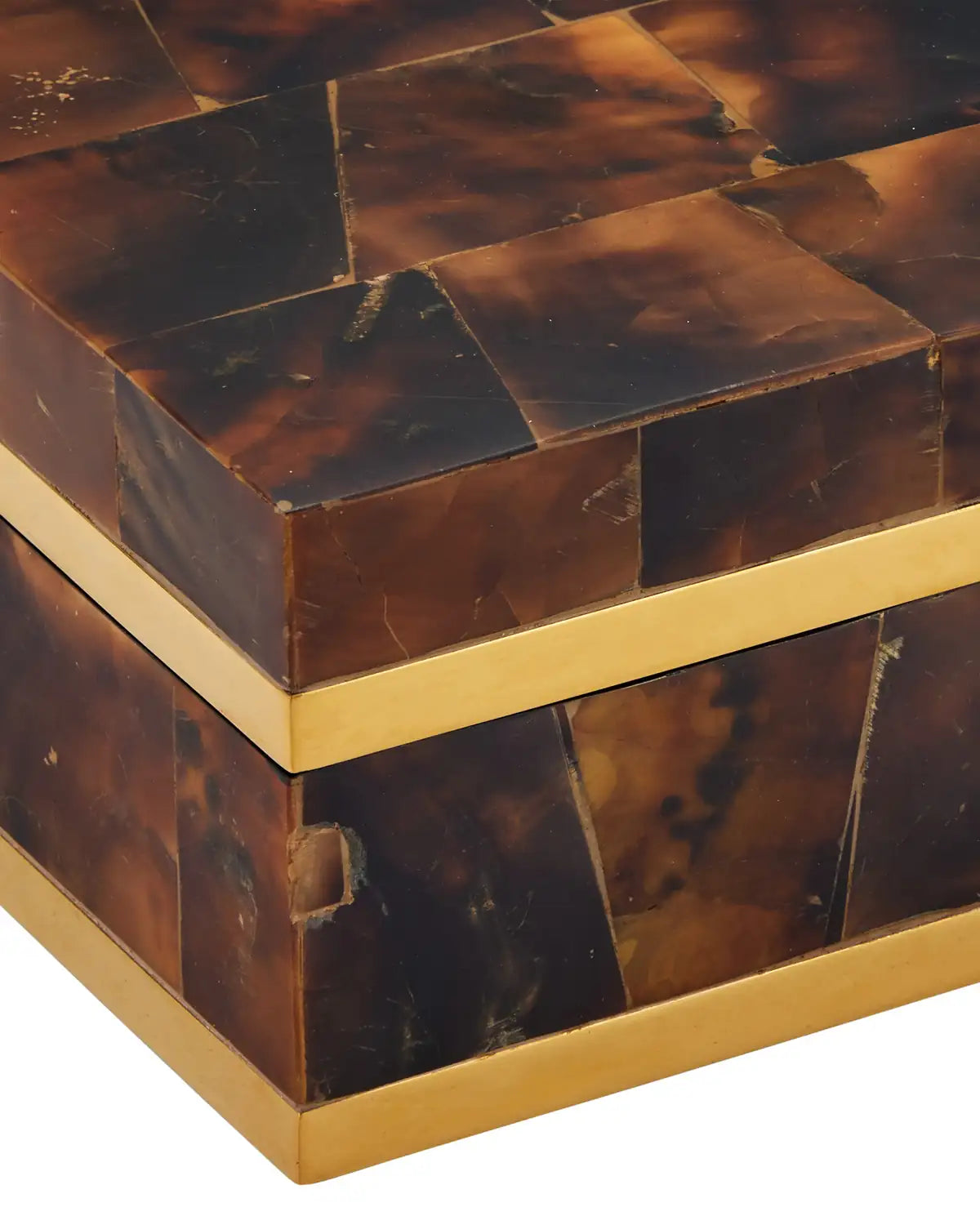 CURREY & COMPANY CASEY BOX - Decorative Accents