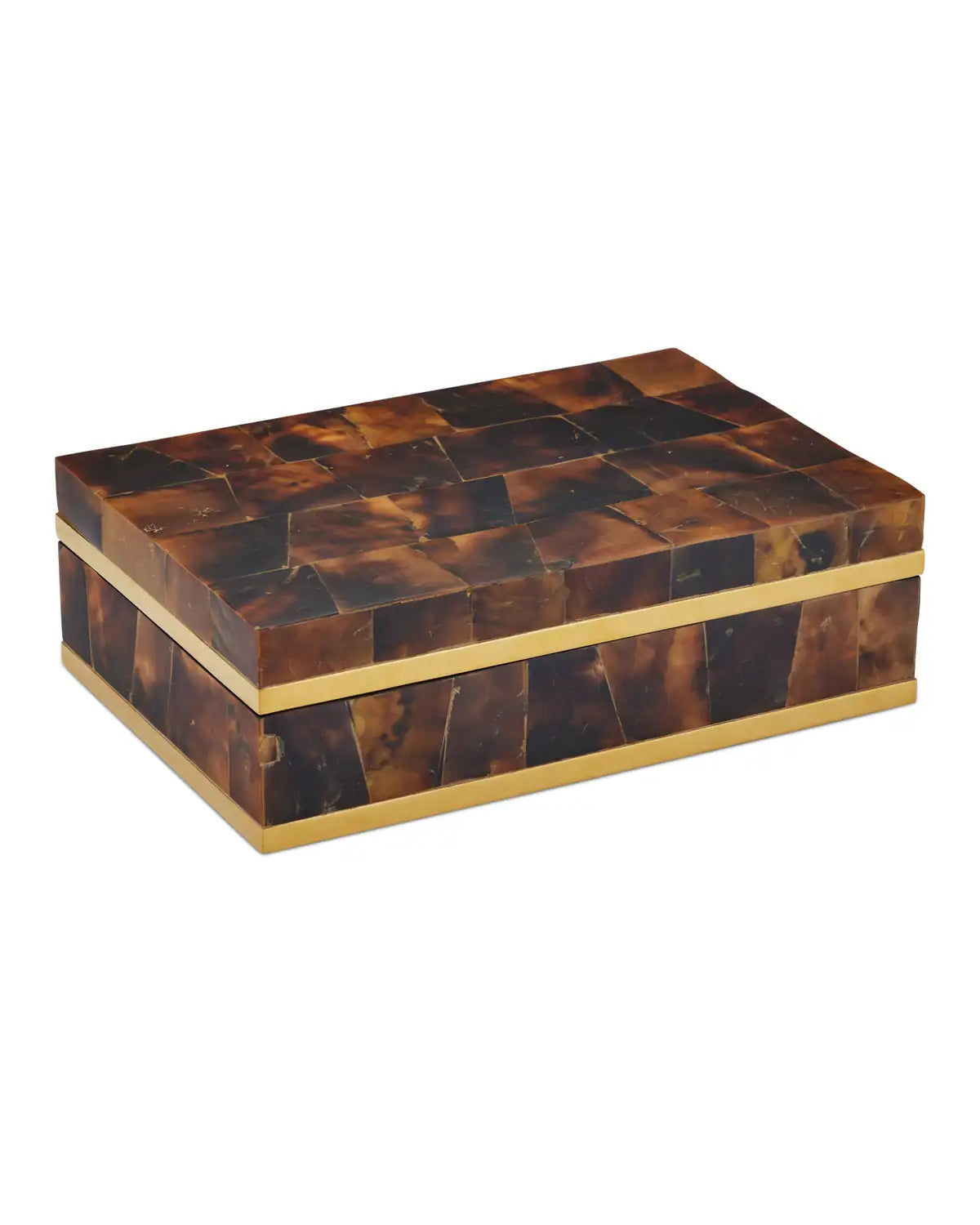 CURREY & COMPANY CASEY BOX - Decorative Accents