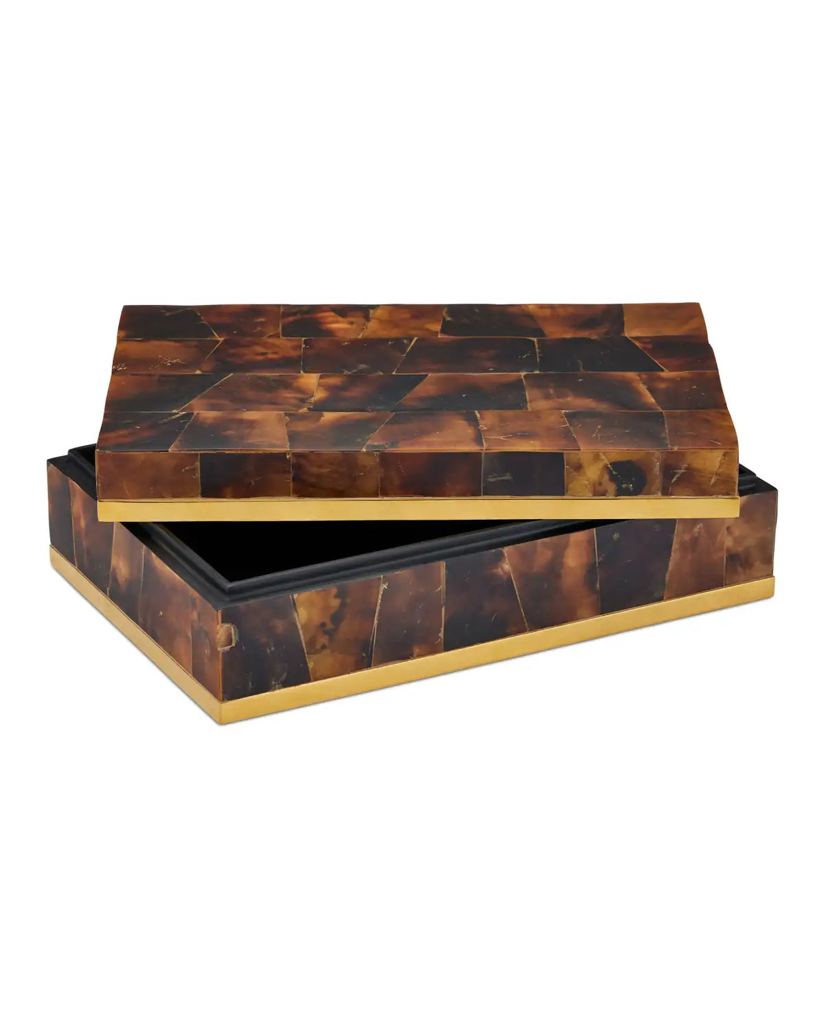 CURREY & COMPANY CASEY BOX - Decorative Accents