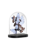 CURREY & COMPANY RUE DE BAC LILAC BUTTERFLIES - Decorative Accents