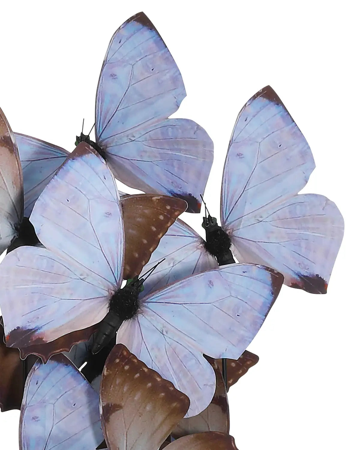 CURREY & COMPANY RUE DE BAC LILAC BUTTERFLIES - Decorative Accents