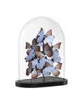 CURREY & COMPANY RUE DE BAC LILAC BUTTERFLIES - Decorative Accents