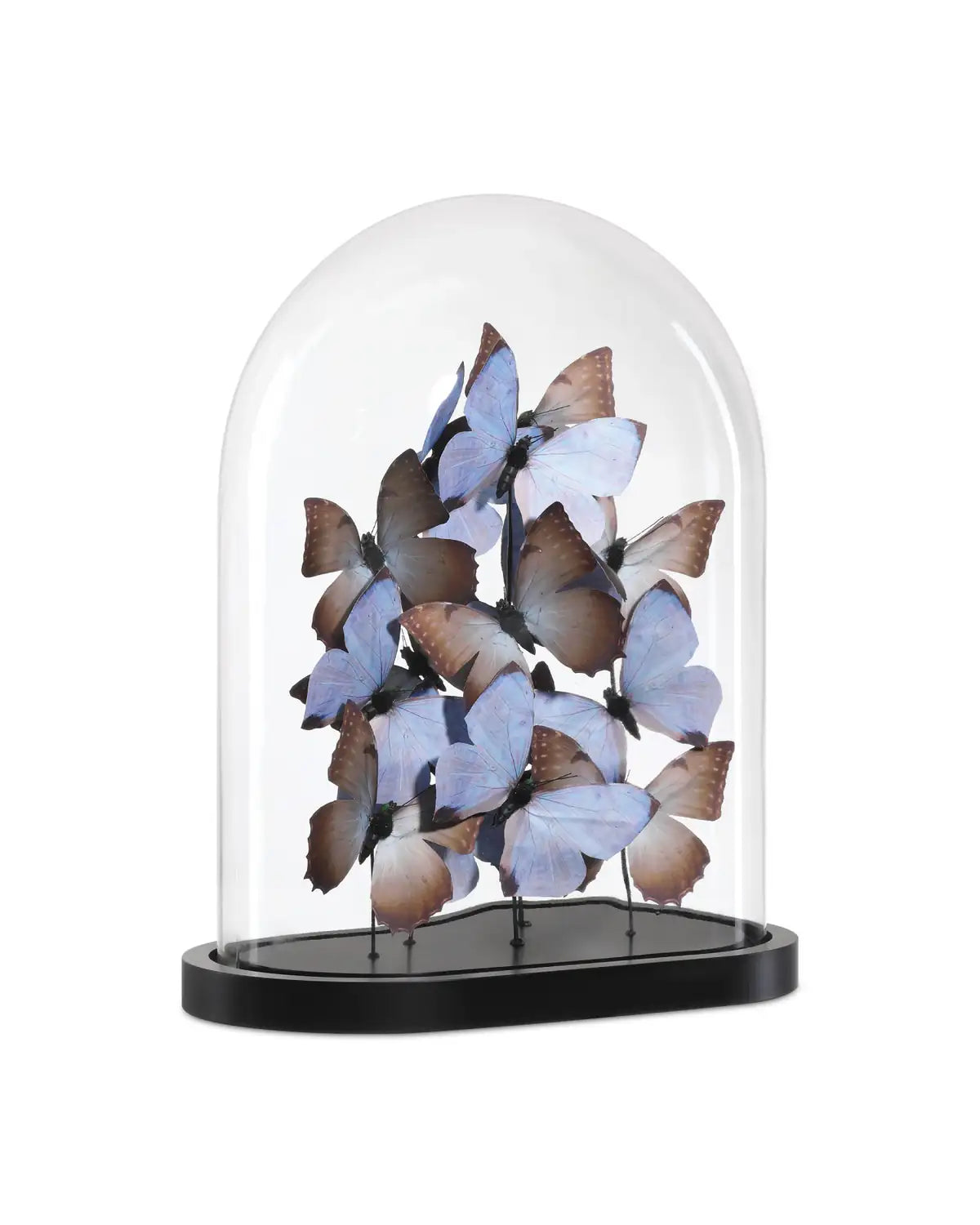 CURREY & COMPANY RUE DE BAC LILAC BUTTERFLIES - Decorative Accents