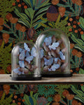 CURREY & COMPANY RUE DE BAC LILAC BUTTERFLIES - Decorative Accents