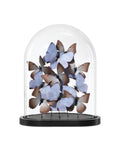 CURREY & COMPANY RUE DE BAC LILAC BUTTERFLIES - Decorative Accents