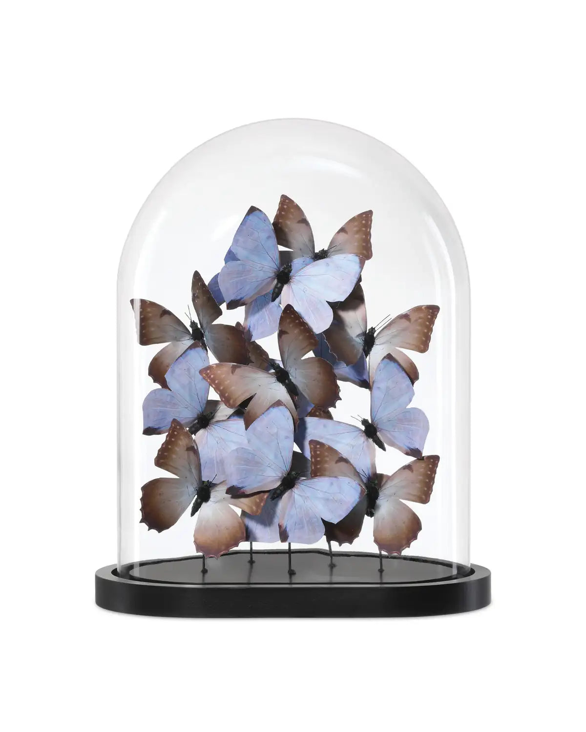 CURREY & COMPANY RUE DE BAC LILAC BUTTERFLIES - Decorative Accents