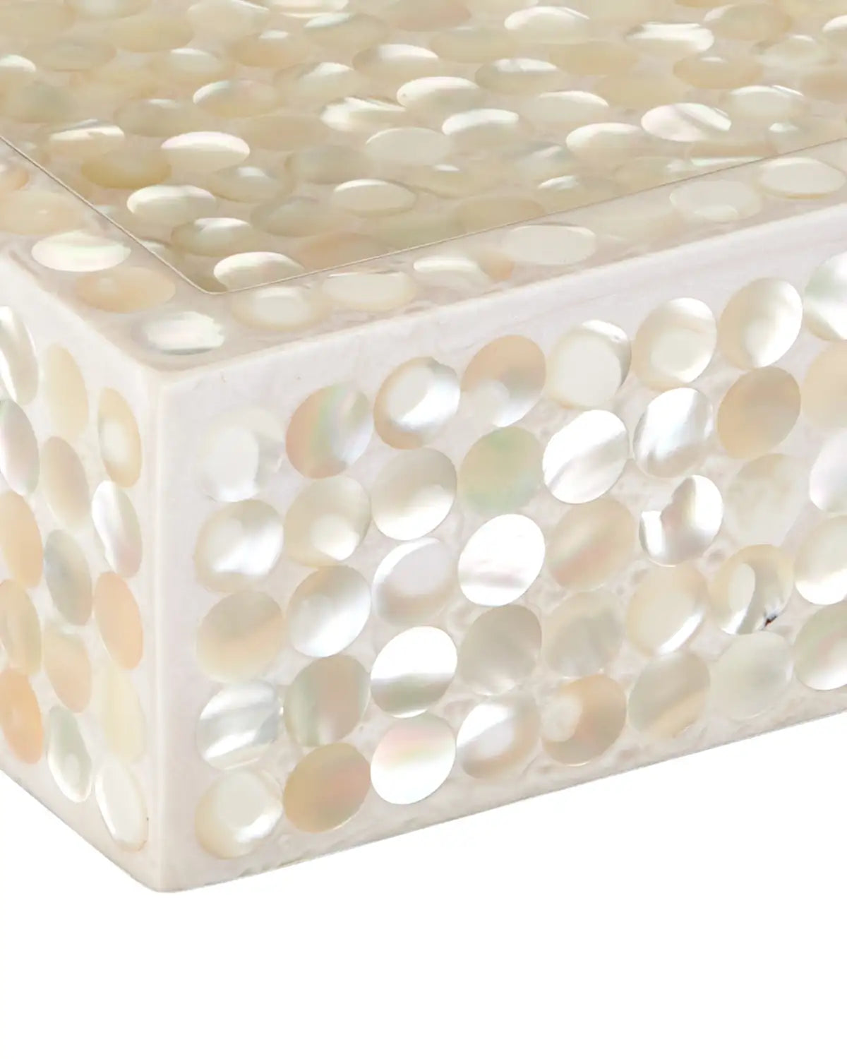 CURREY & COMPANY GERRI DOT MOTHER OF PEARL TRAY SET OF 2 - Decorative Accents
