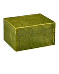 CURREY & COMPANY RINA GREEN BOX - Decorative Accents