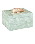 CURREY & COMPANY FIONA BOX - Decorative Accents