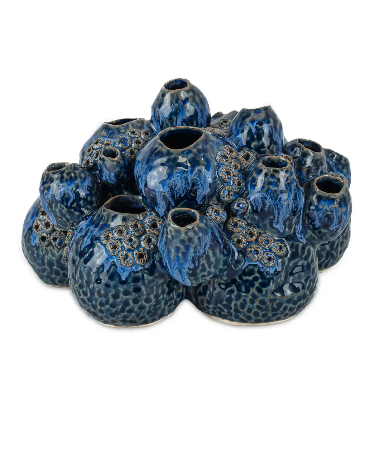 CURREY & COMPANY SULAWASI BLUE SHELLS - Decorative Accents