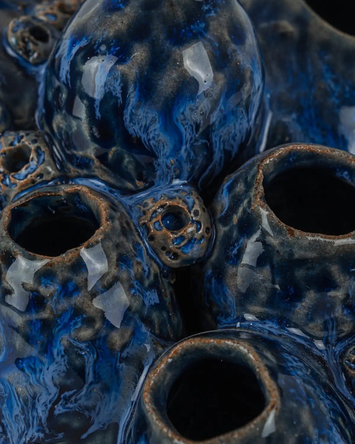 CURREY & COMPANY SULAWASI BLUE SHELLS - Decorative Accents