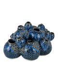 CURREY & COMPANY SULAWASI BLUE SHELLS - Decorative Accents