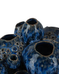 CURREY & COMPANY SULAWASI BLUE SHELLS - Decorative Accents