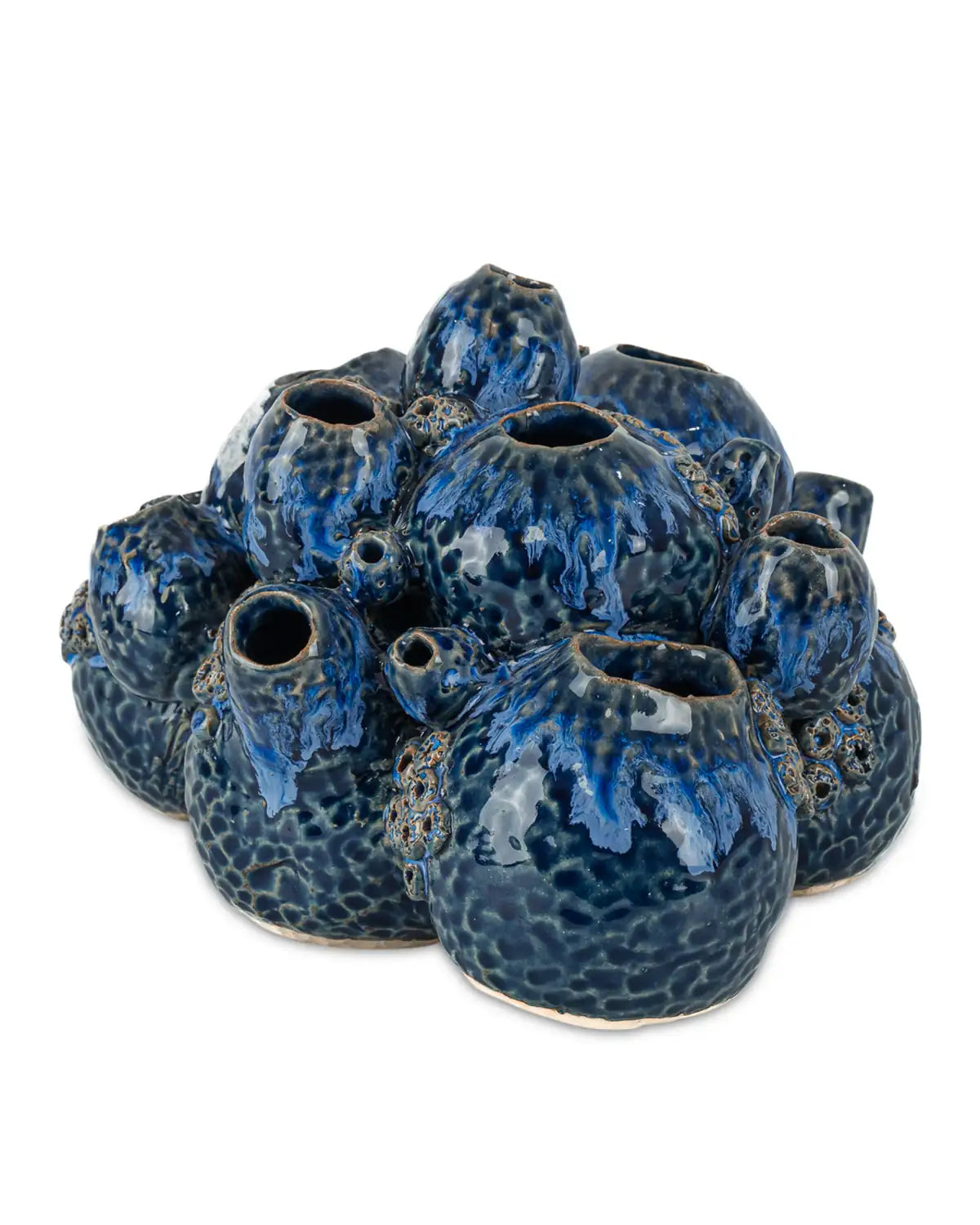 CURREY & COMPANY SULAWASI BLUE SHELLS - Decorative Accents