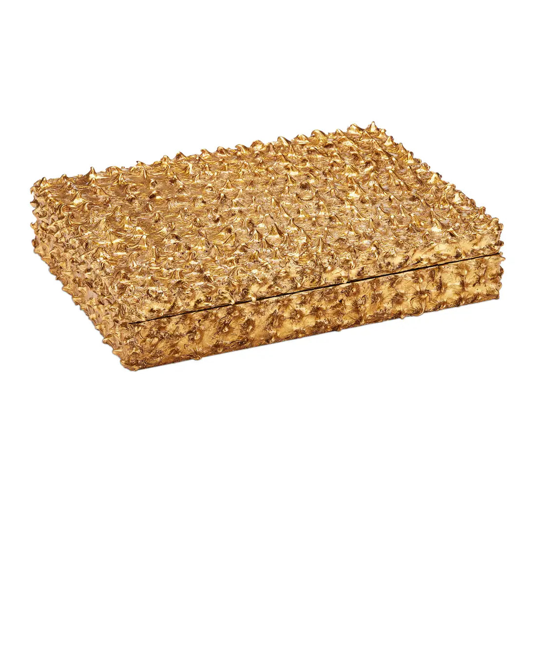 CURREY & COMPANY HAZLITT BOX - Decorative Accents