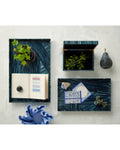 CURREY & COMPANY WINTER HARVEST BOX - Decorative Accents