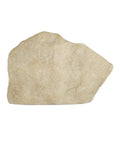 CURREY & COMPANY ARCHITECTURAL REMNANT I - Decorative Accents
