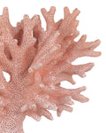 CURREY & COMPANY FIRE CORAL SET OF 2 - Decorative Accents