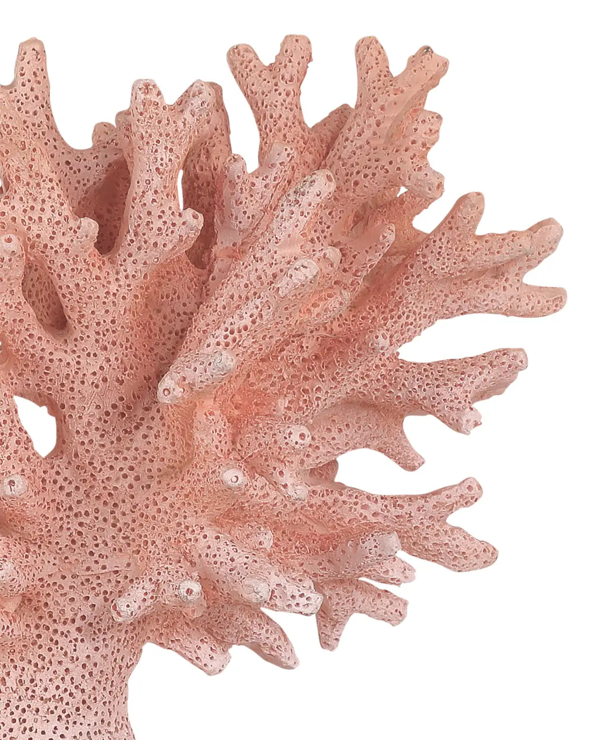 CURREY & COMPANY FIRE CORAL SET OF 2 - Decorative Accents