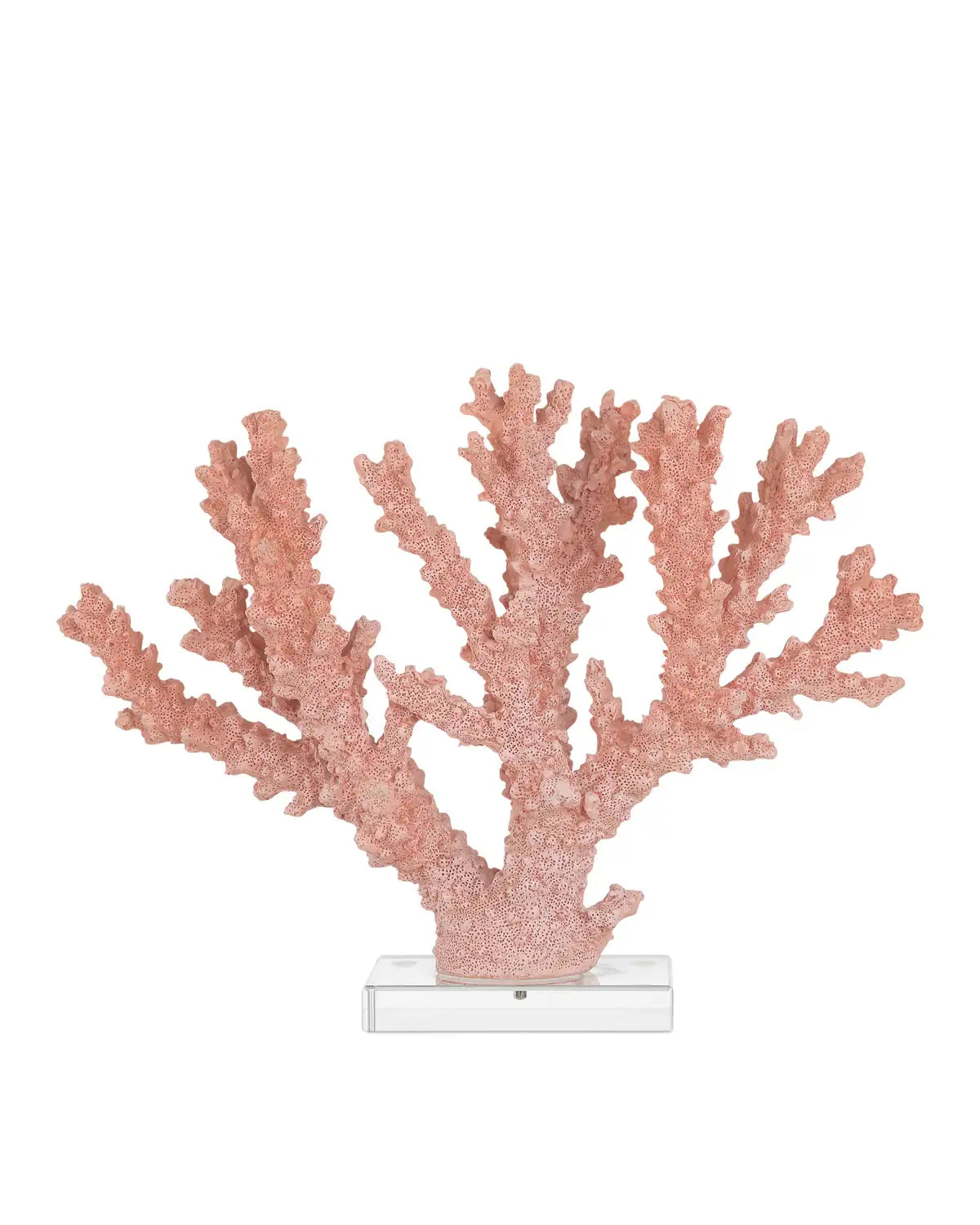 CURREY & COMPANY FIRE CORAL - Decorative Accents