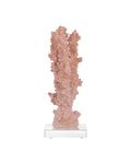 CURREY & COMPANY FIRE CORAL - Decorative Accents