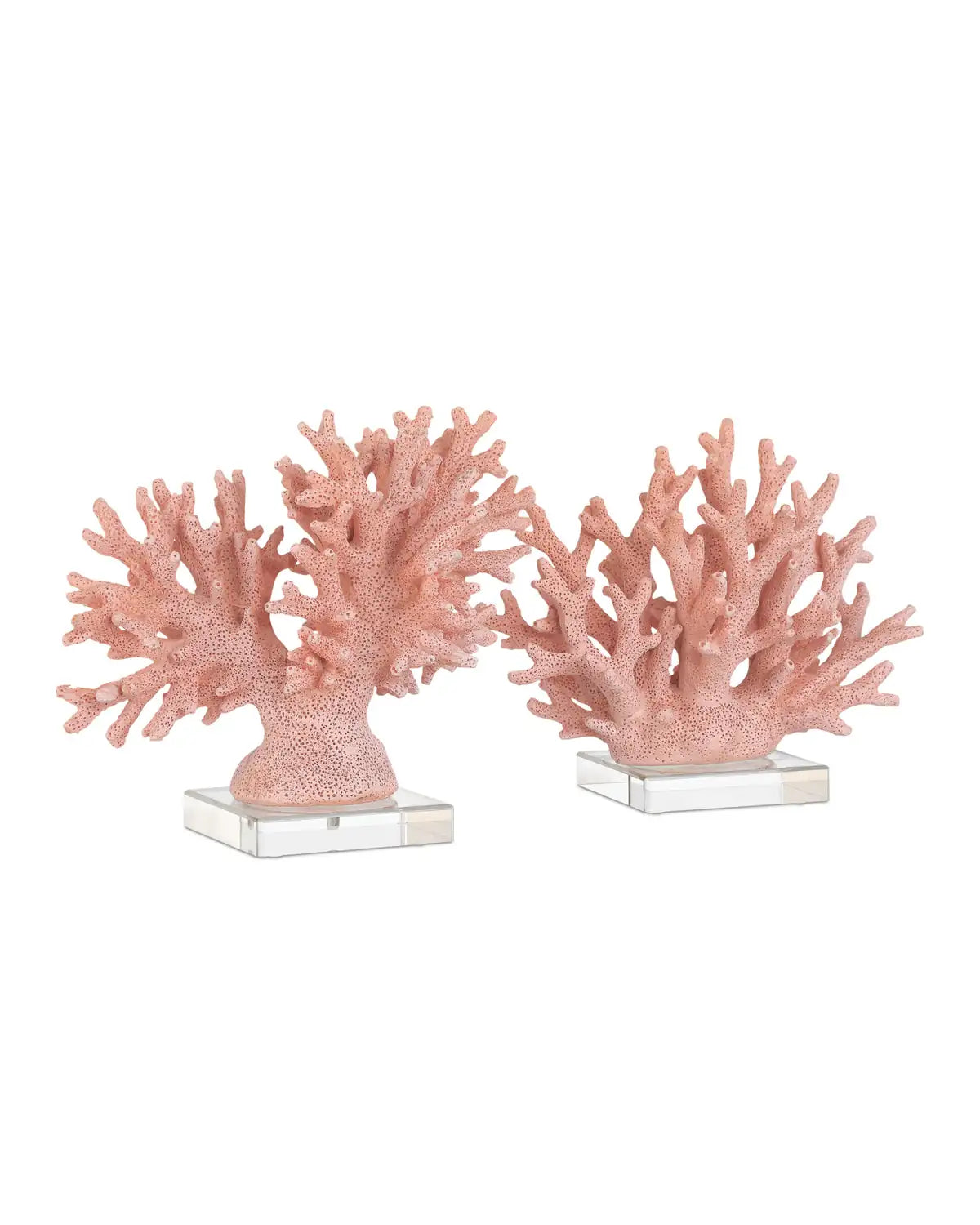 CURREY & COMPANY FIRE CORAL - Decorative Accents