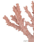 CURREY & COMPANY FIRE CORAL - Decorative Accents