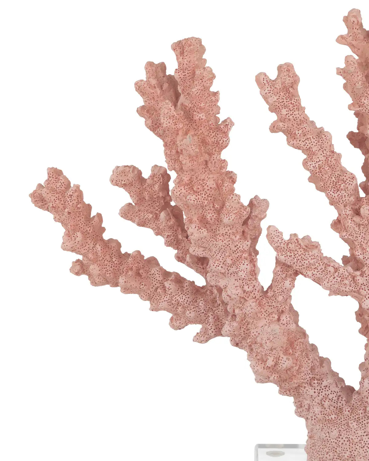 CURREY & COMPANY FIRE CORAL - Decorative Accents