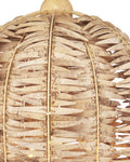 CURREY & COMPANY BOARDWALK SHELL JEWELRY BOX - Decorative Accents