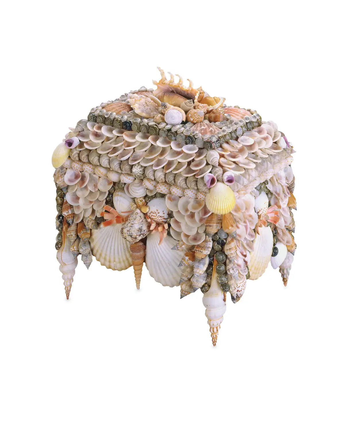 CURREY & COMPANY BOARDWALK SHELL JEWELRY BOX - Decorative Accents