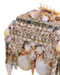 CURREY & COMPANY BOARDWALK SHELL JEWELRY BOX - Decorative Accents
